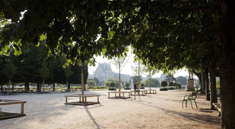 Moët Hennessy prend part à la revégétalisation du Jardin des Tuileries.