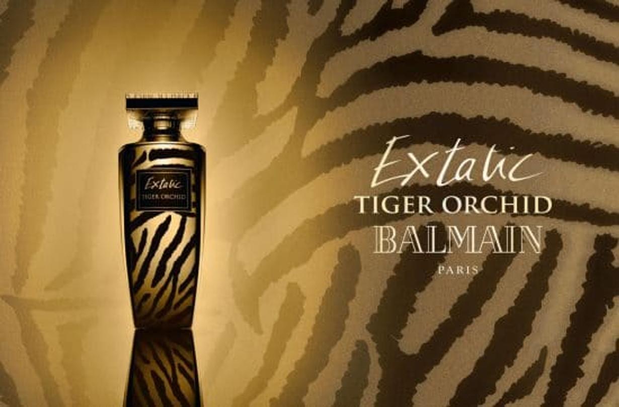 parfum balmain 2016