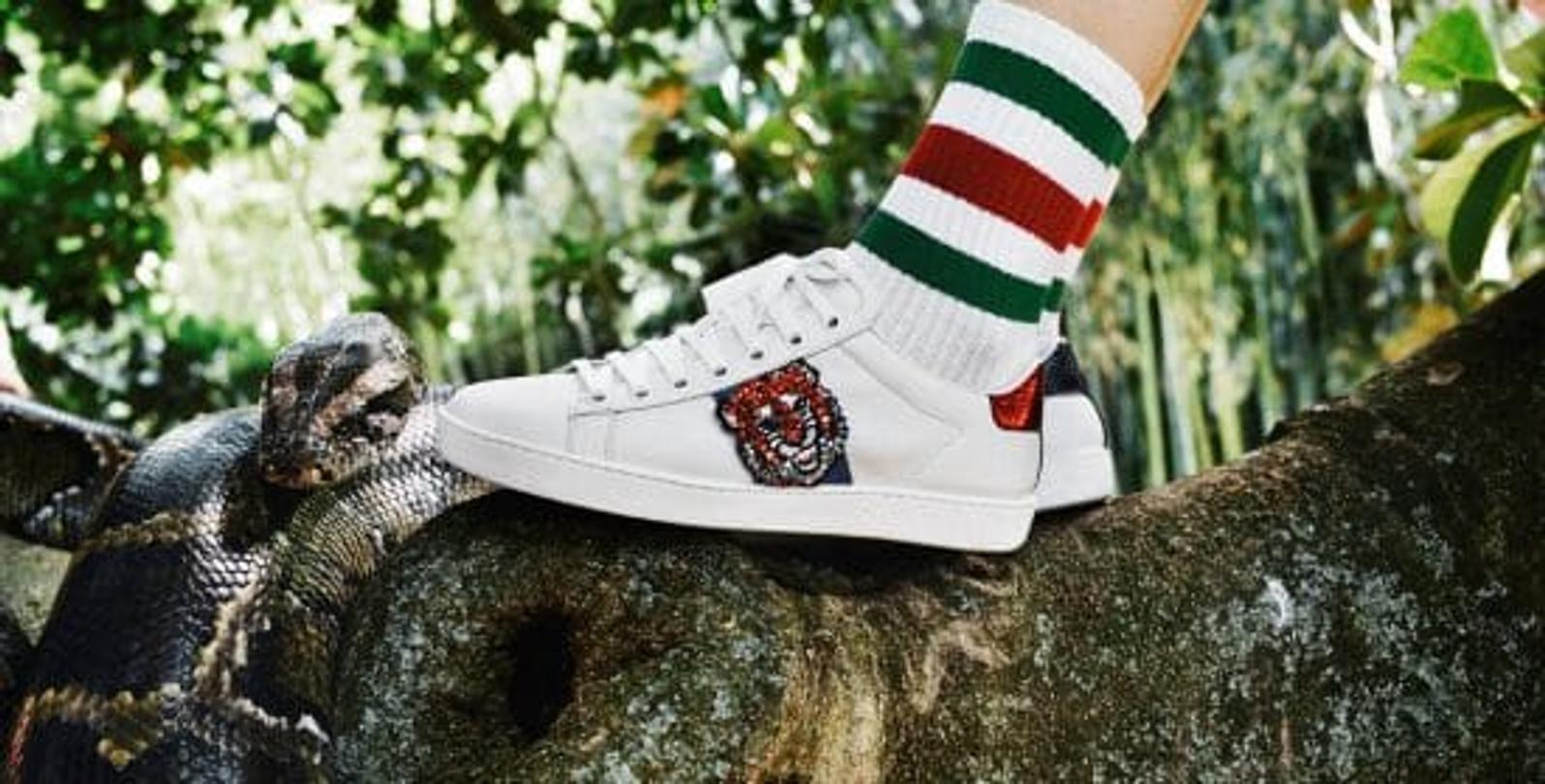 gucci chaussure tigre