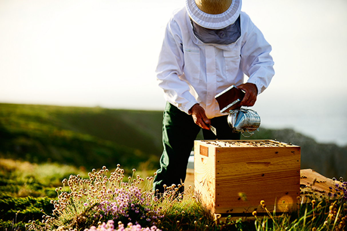 universites abeilles guerlain 2019